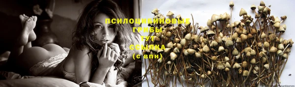 каннабис Новозыбков