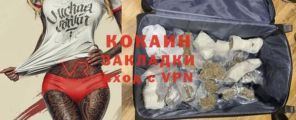 индика Никольское