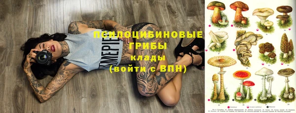 героин Новодвинск