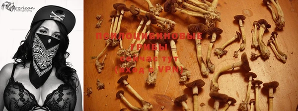 мескалин Новокубанск