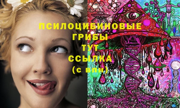 героин Новодвинск