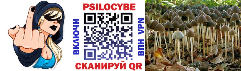 mega ТОР  Оханск  Галлюциногенные грибы Psilocybine cubensis 